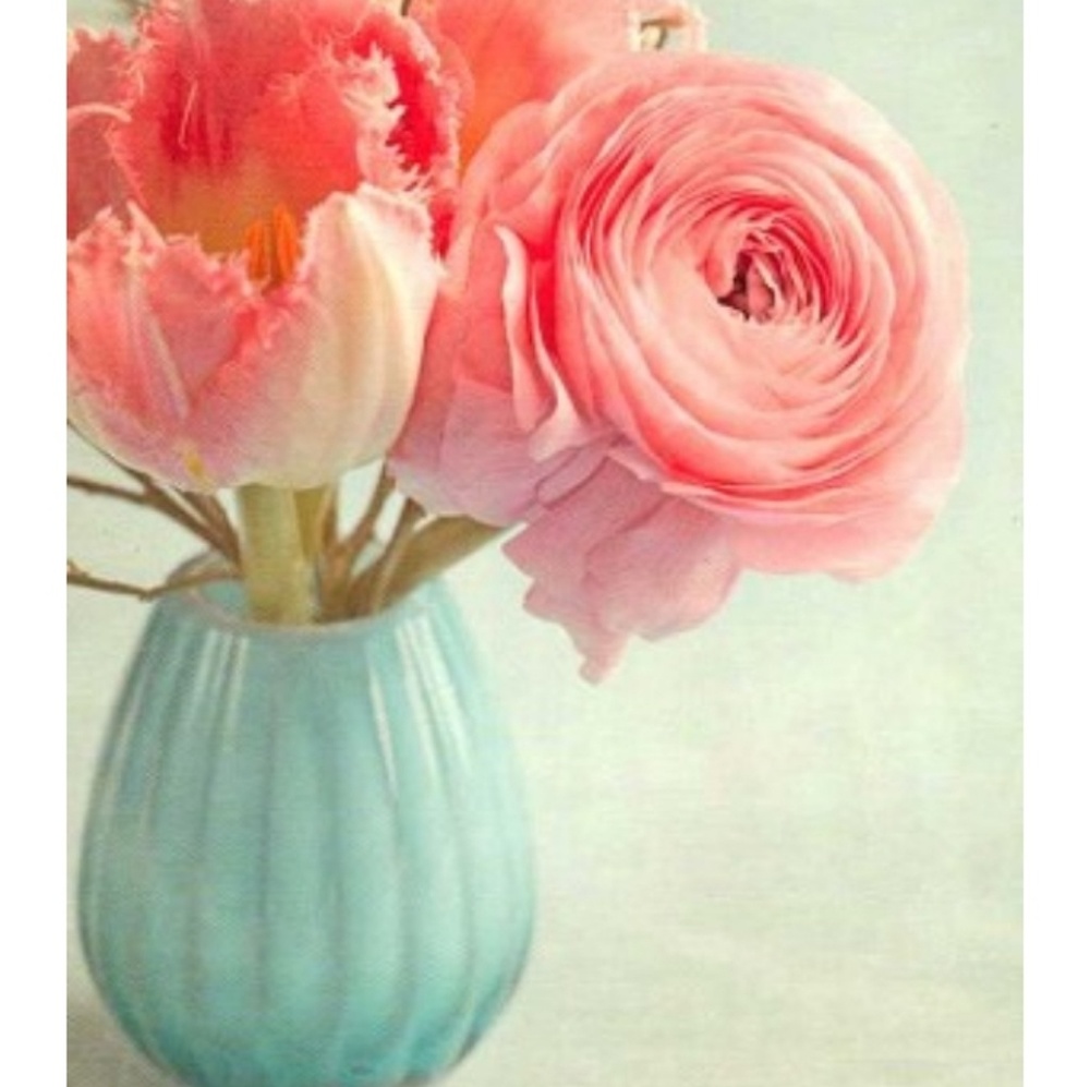 Meet your Posher, Alana